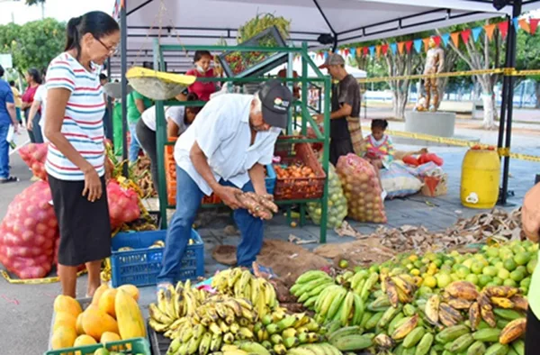 Comerciantes del Mercado público de Valledupar anunciaron una marcha para el próximo jueves