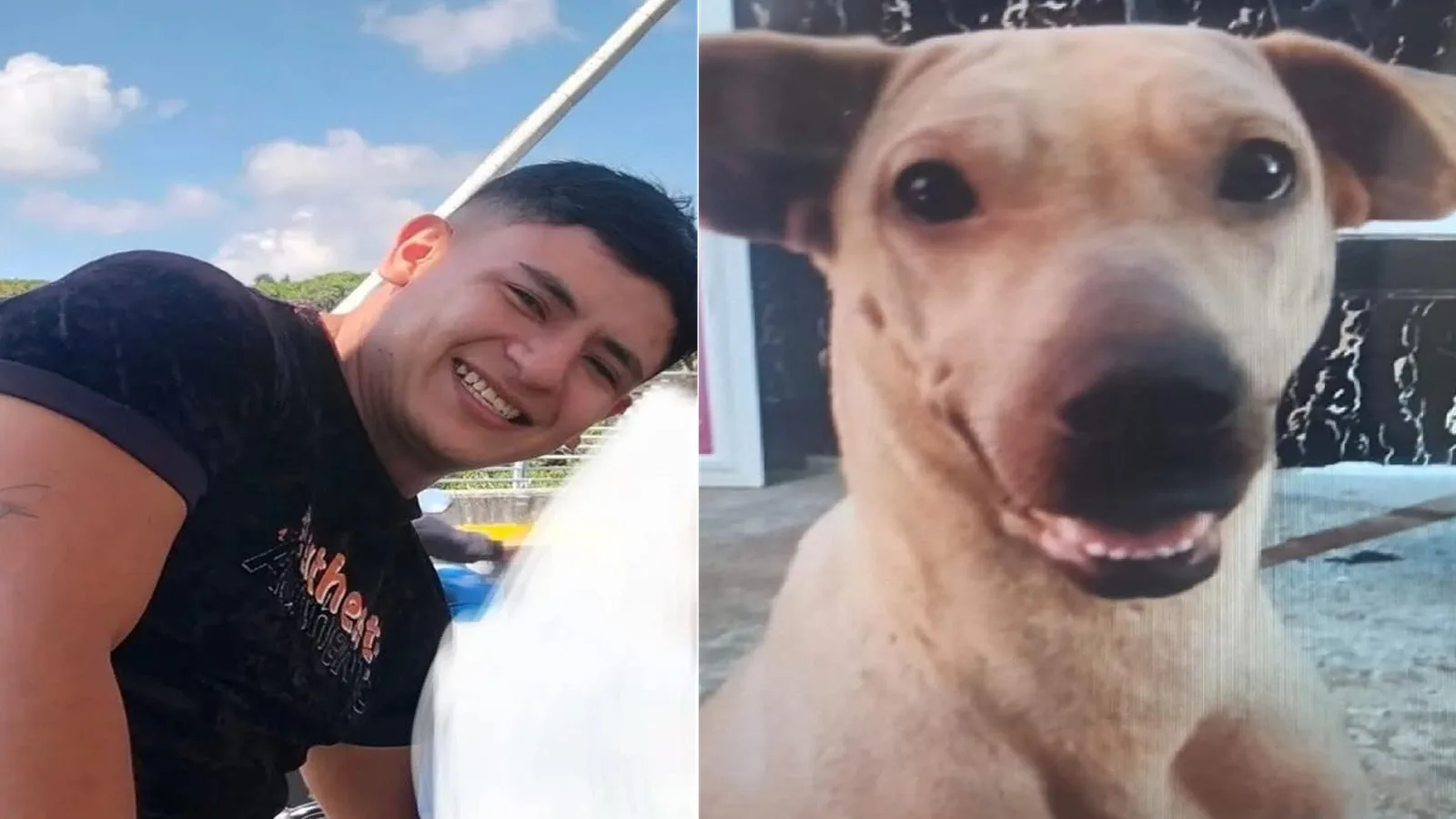 A la cárcel por matar a ‘Kira’ a golpes, agresor aceptó cargos tras brutal caso de maltrato animal que conmocionó al país