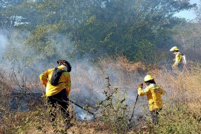 Ideam lanza alarmante advertencia: más de 200 municipios están en riesgo por incendios y se aproxima fenómeno de El Niño
