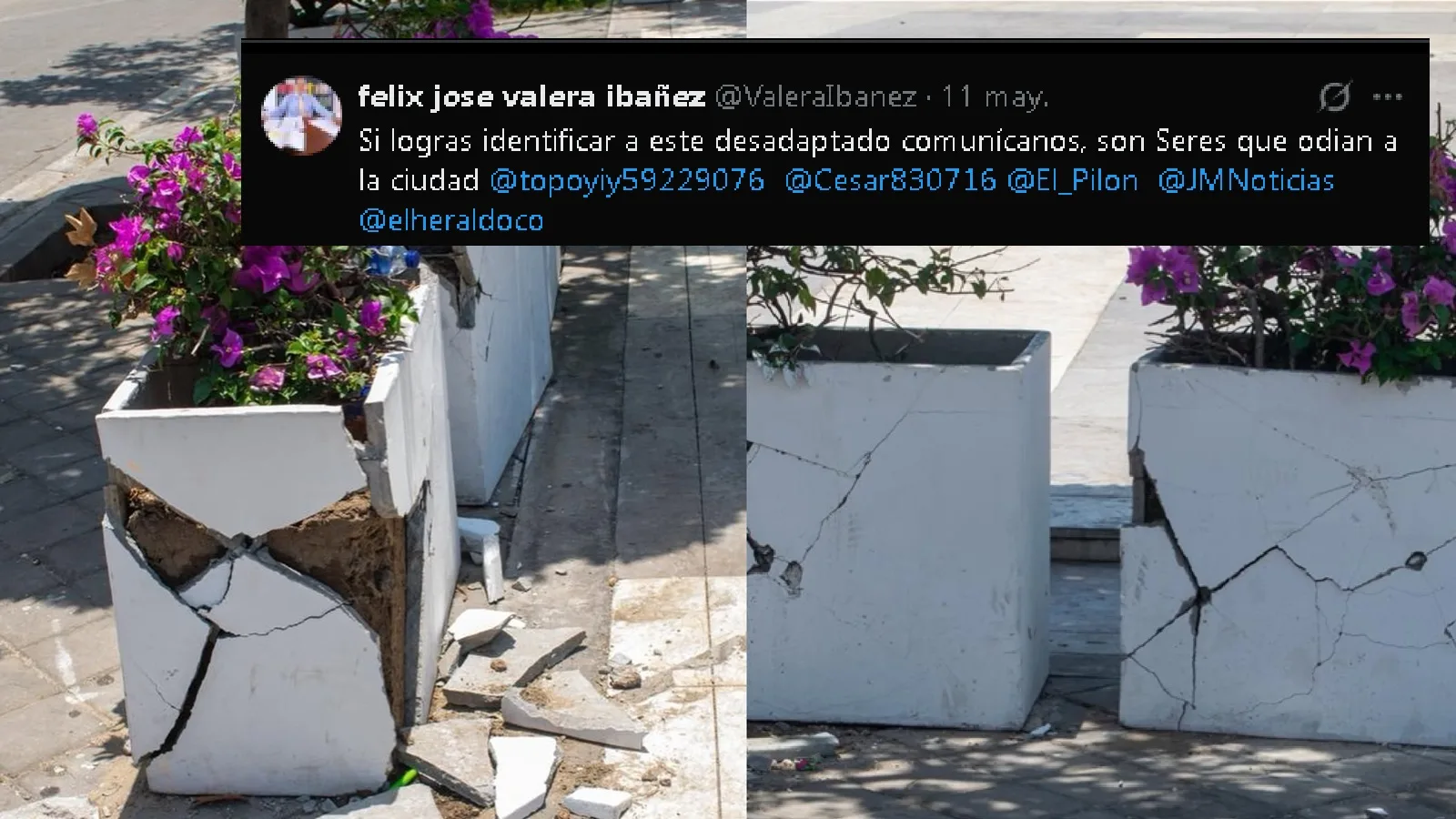 “Son seres que odian la ciudad”: autoridades buscan a presunto habitante de calle que destruyó materas de la Plaza Alfonso López