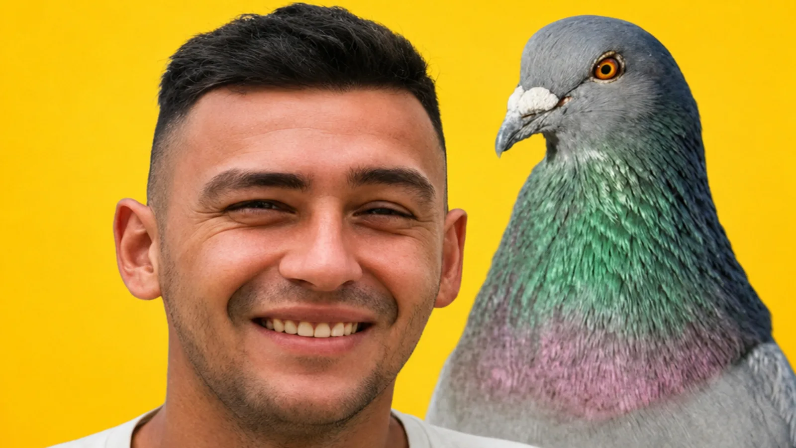 ¿Ejemplar?, Hombre que decapitó palomas con los dientes fue enviado 30 meses a prisión