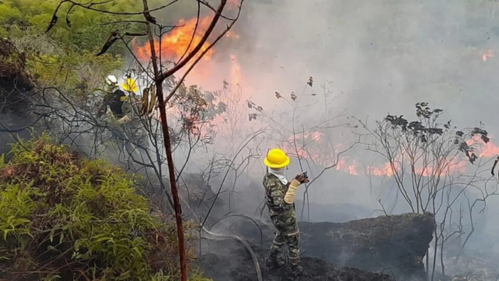 Gobierno activa presupuesto de $146 mil millones para afrontar posible emergencia ambiental por fenómeno del Niño