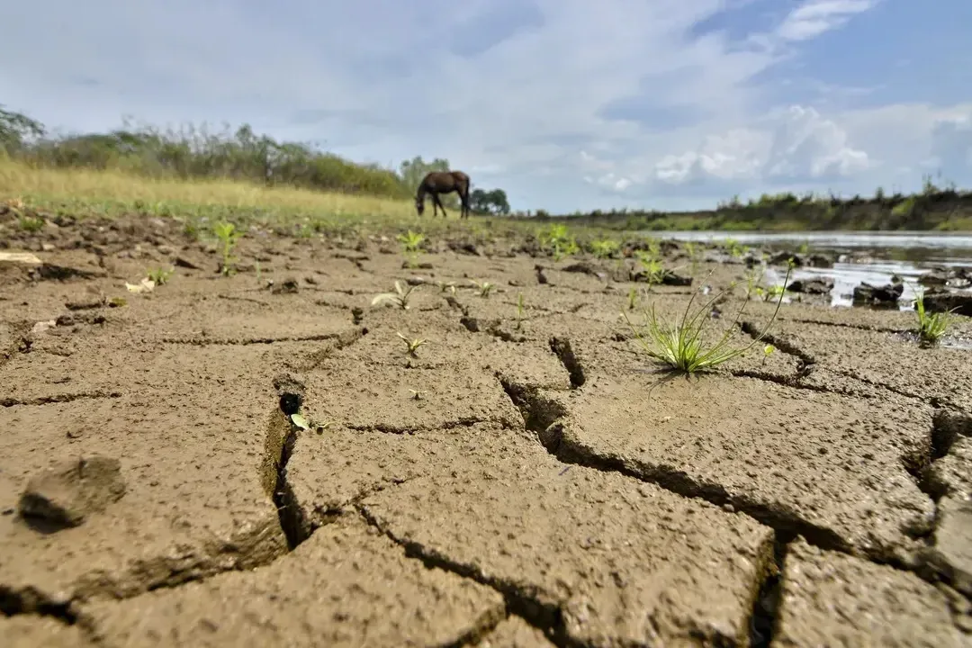 Contraloría alerta por posible crisis de agua y energía ante llegada del Fenómeno de El Niño