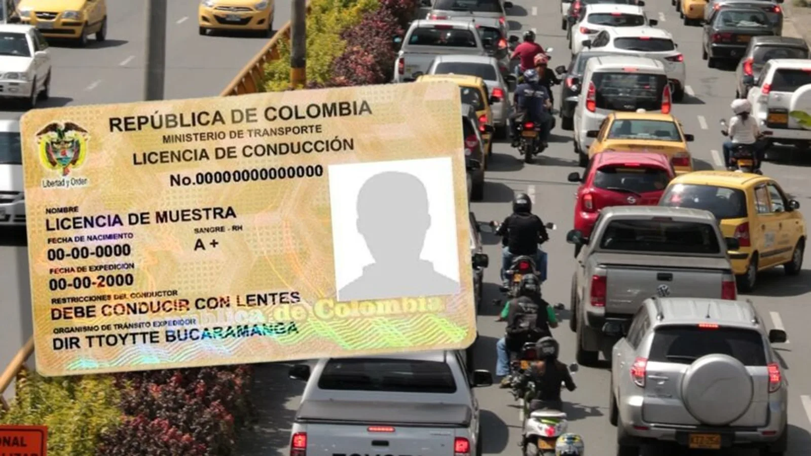 ¡Atención conductores! Senado aprueba licencia por puntos y podría quitarle el pase de por vida a quienes reincidan