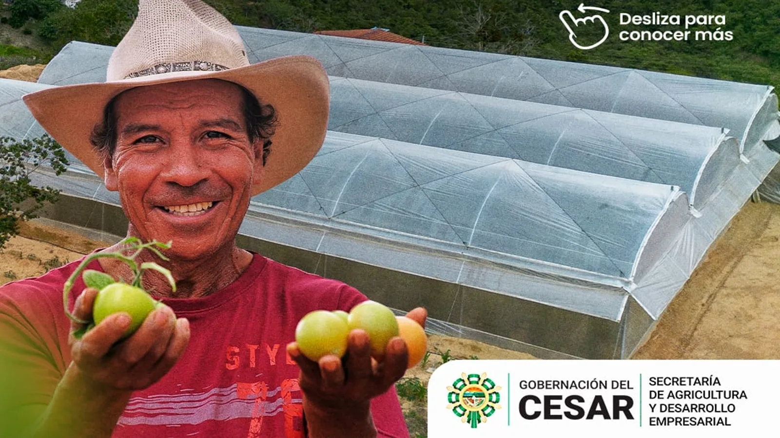 Gobernación del Cesar abre convocatoria para beneficiar a 129 pequeños productores con modernos invernaderos