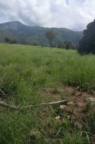 Hallan sin vida a agricultor que había sido reportado como desaparecido en zona rural de San Diego