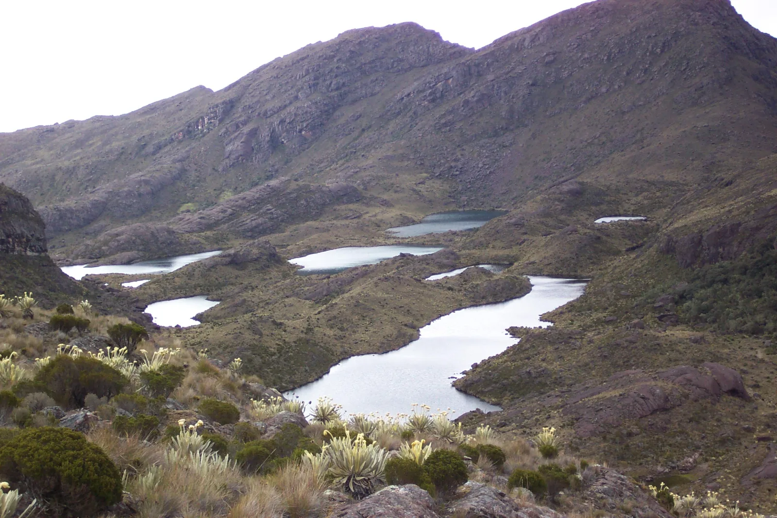 Mineros de Santurbán anuncian demandas contra MinAmbiente y advierten que nuevas medidas favorecen la minería ilegal