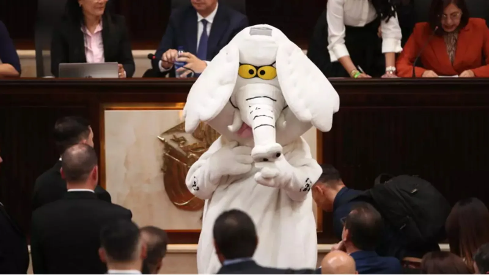 Vestido de "Elefante Blanco", Luis Carlos Rúa se posesionó como senador y llevó su bandera anticorrupción al Congreso