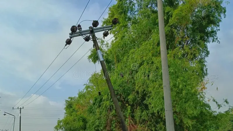 Vecinos de Codazzi denuncian riesgo por postes inclinados y alcantarilla colapsada; cuestionan falta de respuesta de la administración municipal