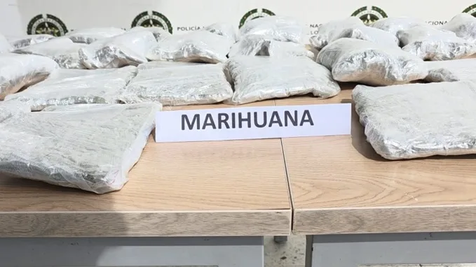 Incautan 40 kilos de marihuana enviados en encomiendas que tenían como destino Valledupar