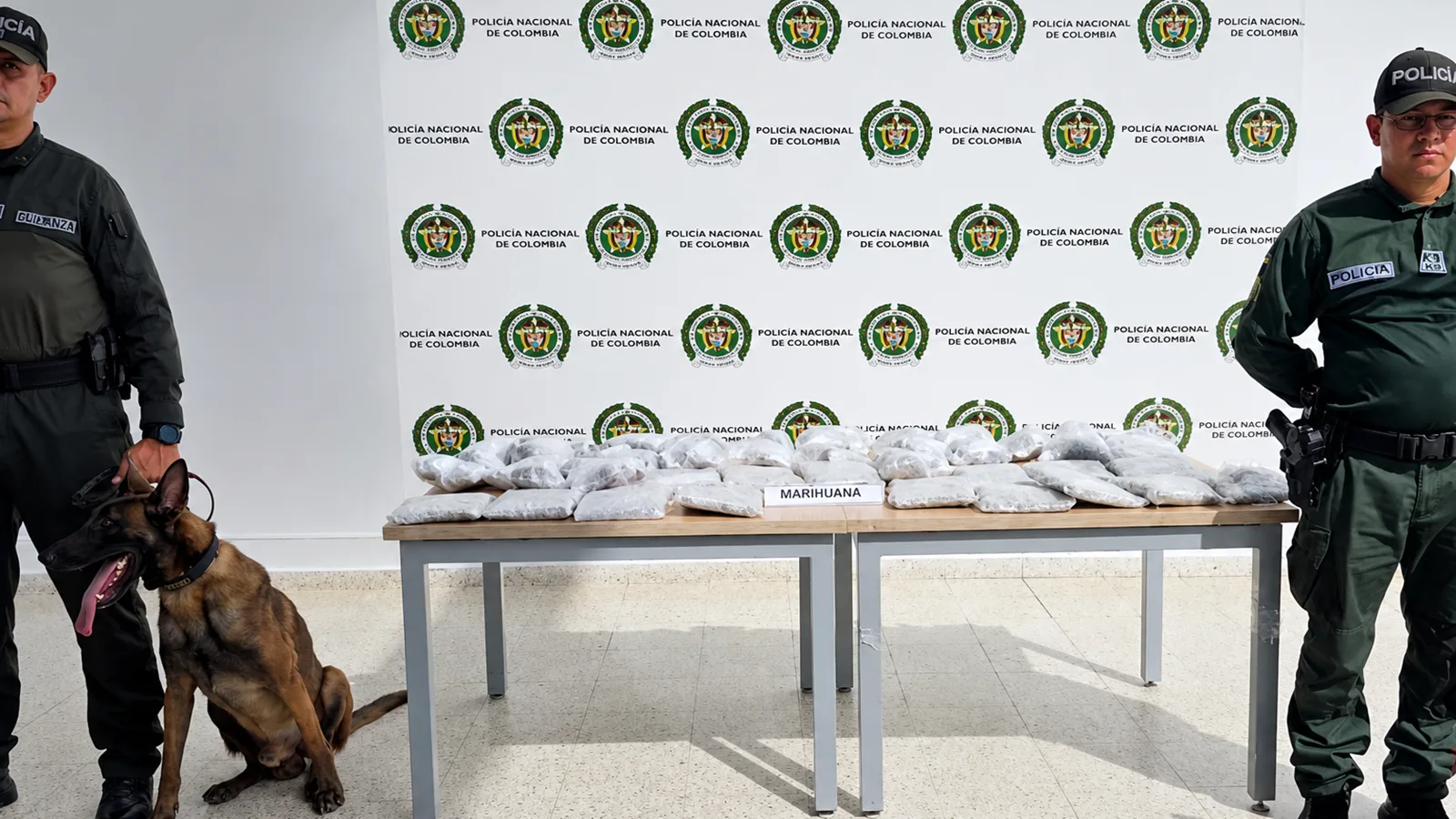 ¡Ni las empresas de envíos escaparon! Incautan cerca de 40 kilos de marihuana que iban ocultos en encomiendas hacia Valledupar