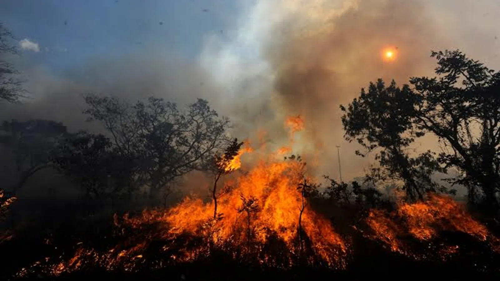 Incendio en Charta completa más de 72 horas y obliga al envío de aeronaves para combatir las llamas