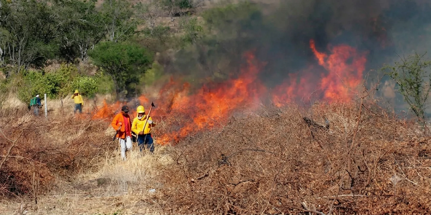 Incendio forestal habría consumido unas 300 hectáreas en la Serranía del Perijá, en Chiriguaná