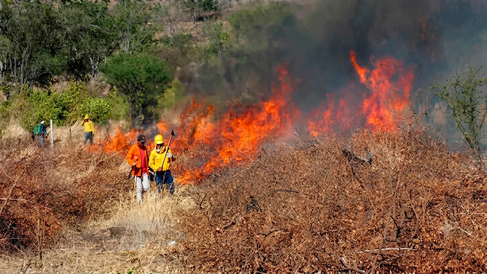 Incendio en la Serranía del Perijá ya habría consumido más de 1.700 hectáreas y amenaza con extenderse hacia Chiriguaná