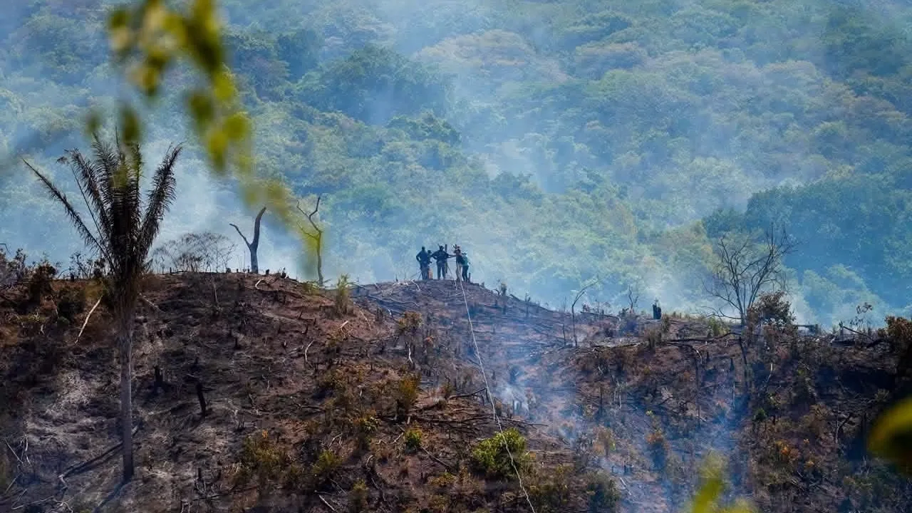 Campesinos de Curumaní denuncian falta de respuesta institucional tras incendios en la Serranía del Perijá