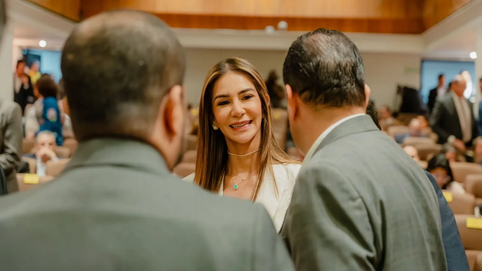 Gobernadora del Cesar lleva la voz del departamento a la primera Mesa Nacional de Seguridad Energética