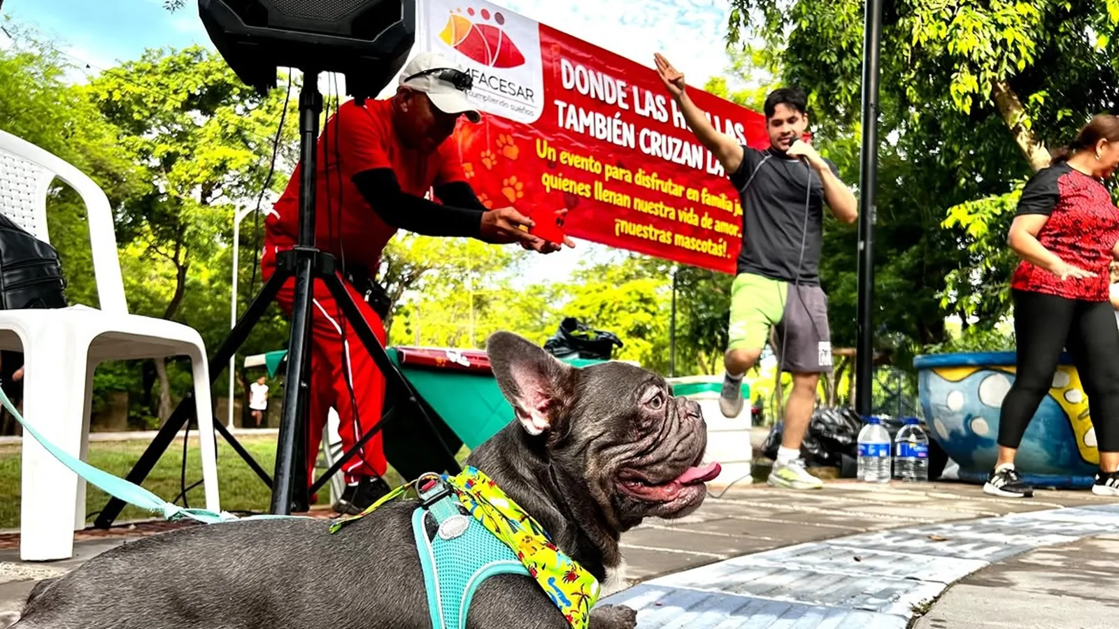 Perros y familias protagonizaron el Desafío Canino en Valledupar