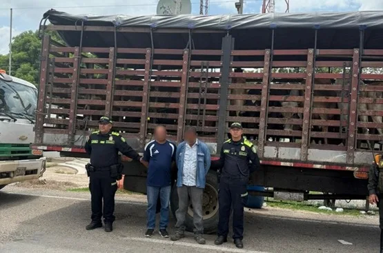 Recuperan 58 reses hurtadas en zona rural de Valledupar y capturan a cinco personas