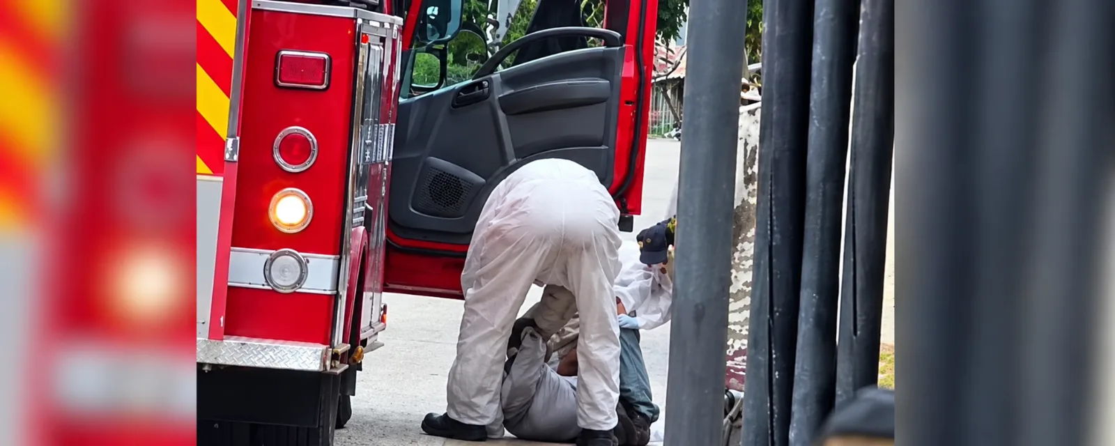 Hombre permanece en UCI tras ser atacado por abejas africanizadas