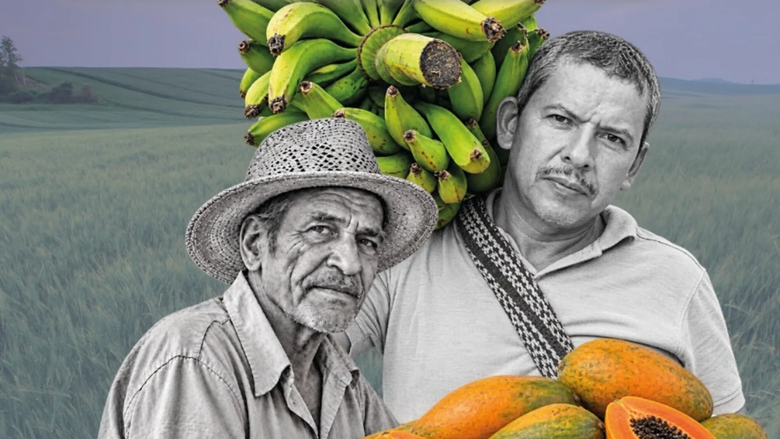 Mercado Campesino en Valledupar: cerca de 60 productores venderán sus cosechas este domingo en Garupal