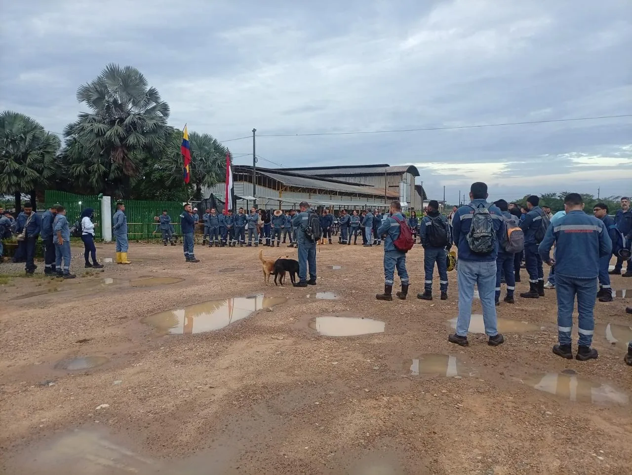 Imagen 1 de 1