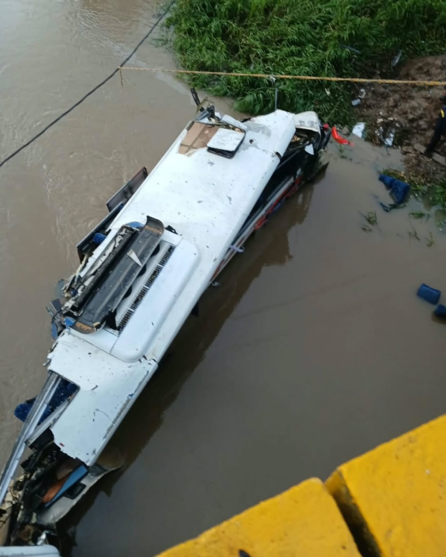 Imagen 1 de 3